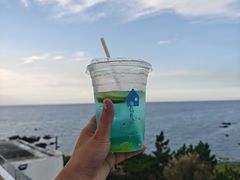 -海岛日记(养马岛店)