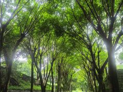 -西南政法大学(沙坪坝校区)