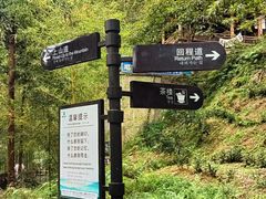 -藏龙百瀑风景区