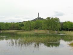 -北坞公园