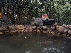 -深业半汤御泉庄温泉