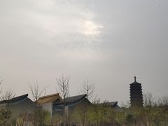 -莲花池公园