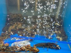 -鲜味食族水产·海鲜餐厅