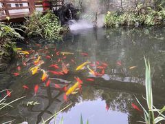 -故乡缘·香格里拉山庄(冷竹路店)