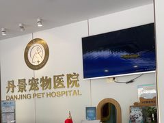 -丹景宠物医院·全科·老年病·牙科(武昌诊疗中心)