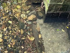 -杭州植物园