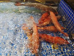 -东方御花园酒店