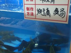 -集贤阁海鲜酒楼(北辰总店)