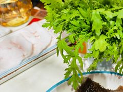 -曲氏老北京铜锅涮肉•火锅(不老街店)