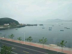-广鹿岛景区