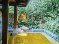 -天目湖御水温泉·度假酒店