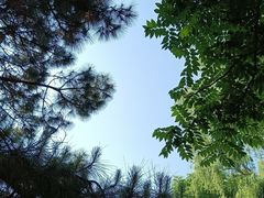 -白塘生态植物园
