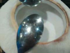 -东椰·海南椰子鸡火锅(朝阳门店)