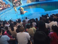 剧场管理混乱（过道随便坐立无人管）-华夏文旅海洋公园