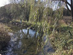 -白马涧龙池景区