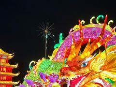 -武汉园博园(武汉自然博物馆)