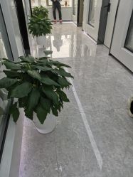 -悟空祛痘·诺奖技术专业店