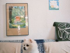 -ABCD咖啡屋(妇幼店)