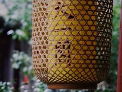 -天一阁博物院