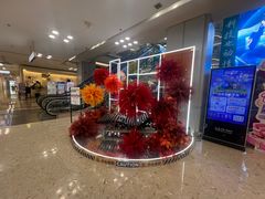 -红星美凯龙北京至尊MALL(东四环中路店)