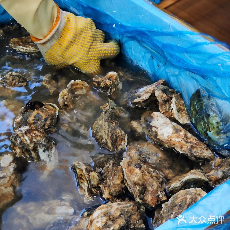 拱北 | 珠海吃蚝新店，下了轻轨就能吃到‼️