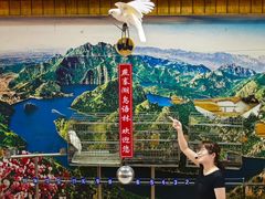 -燕塞湖鸟语林景区