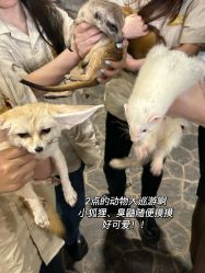 -Zoolung Zoolung动物主题公园(海信广场店)