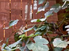 -二酉书店TOYOU BOOKS