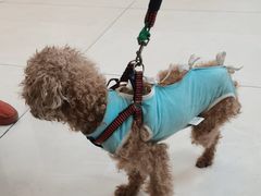 -北京观赏动物医院·24小时大型综合·猫专科·异宠专科