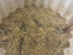 -蟹田居·活蟹料理(东城店)