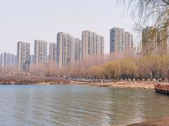 -丁香湖公园
