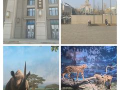 -国家自然博物馆