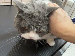 -FAELING PETS美天灵宠物(富力广场店)
