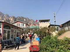 -闻道食府烙饼卷带鱼(原车耳营店原大觉寺店)