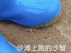 -南长涂沙滩