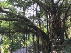 -乌山风景区