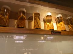 -长寿参鸡汤(朝韩风情街店)