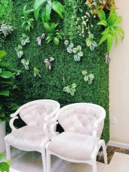 -苗医生草本科技祛痘