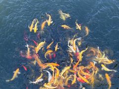 -沂蒙云瀑洞天景区