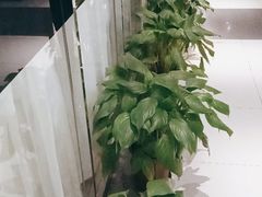 -渝信川菜(工体店)