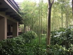 -良渚君澜度假酒店·中餐厅