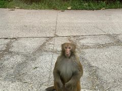 -重庆雨台山风景区
