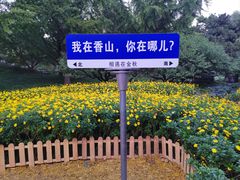 -香山公园
