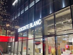 -迪桑特DESCENTE(北京三里屯BLANC店)