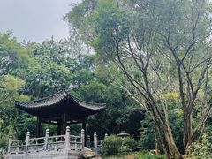 -深圳国际园林花卉博览园