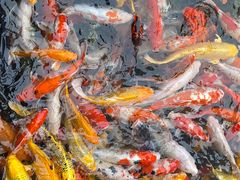 -番禺宾馆丽苑厅