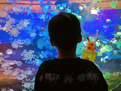 -华夏文旅海洋公园