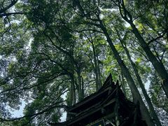 -青城山