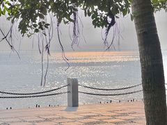 -深圳湾公园(南山区)