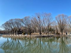 -仰山公园